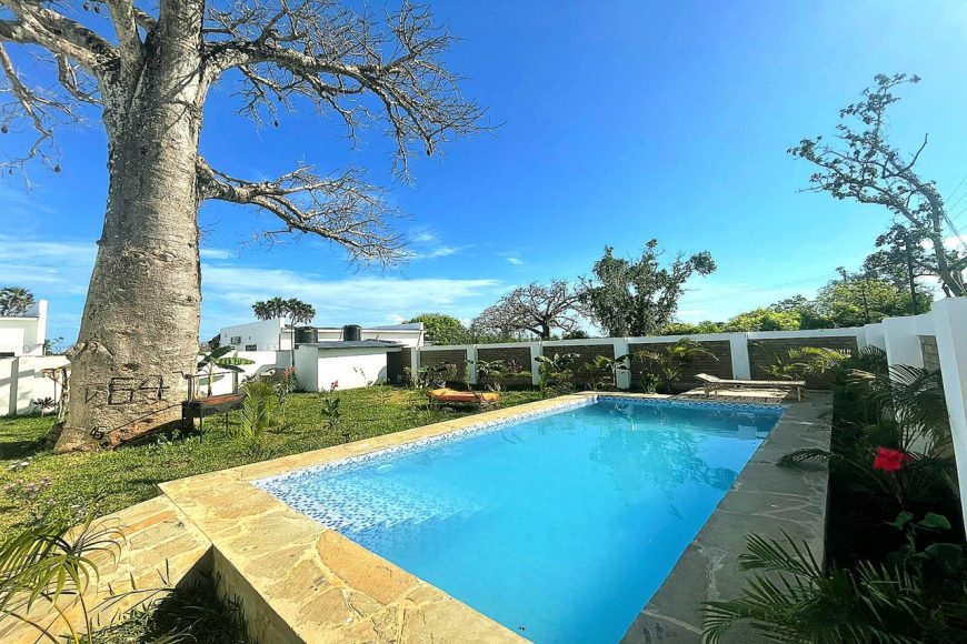 amazing pool under the baobab tree